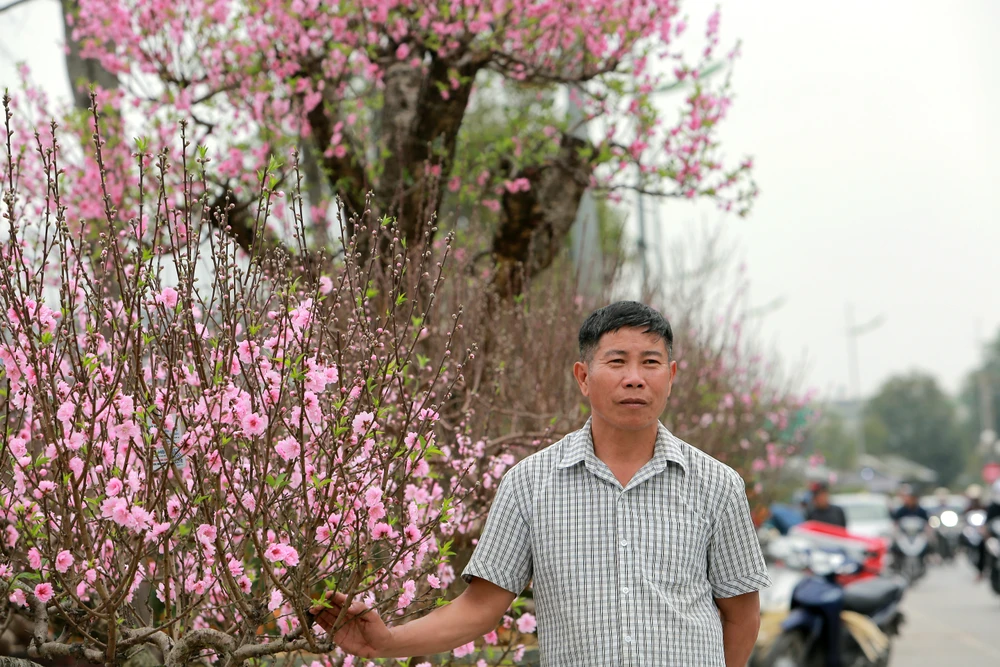 Thương lái buôn đào quất mòn mỏi chờ người mua chơi Tết Nguyên Đán -8.JPG