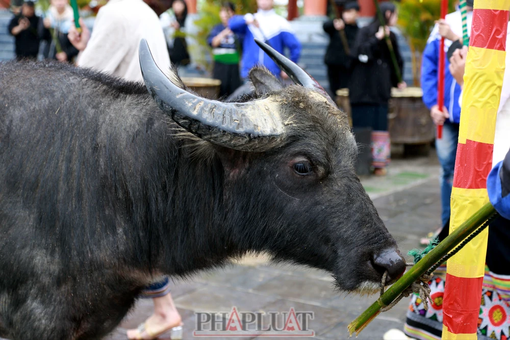 Chiêm ngưỡng Đền Chín Gian giữa cảnh hùng vĩ nơi thượng nguồn Sông Chu -8.JPG