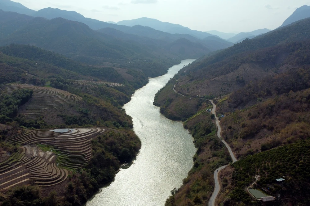 Nỗi đau được mùa “vàng trắng”, nông dân trắng tay -8.JPG