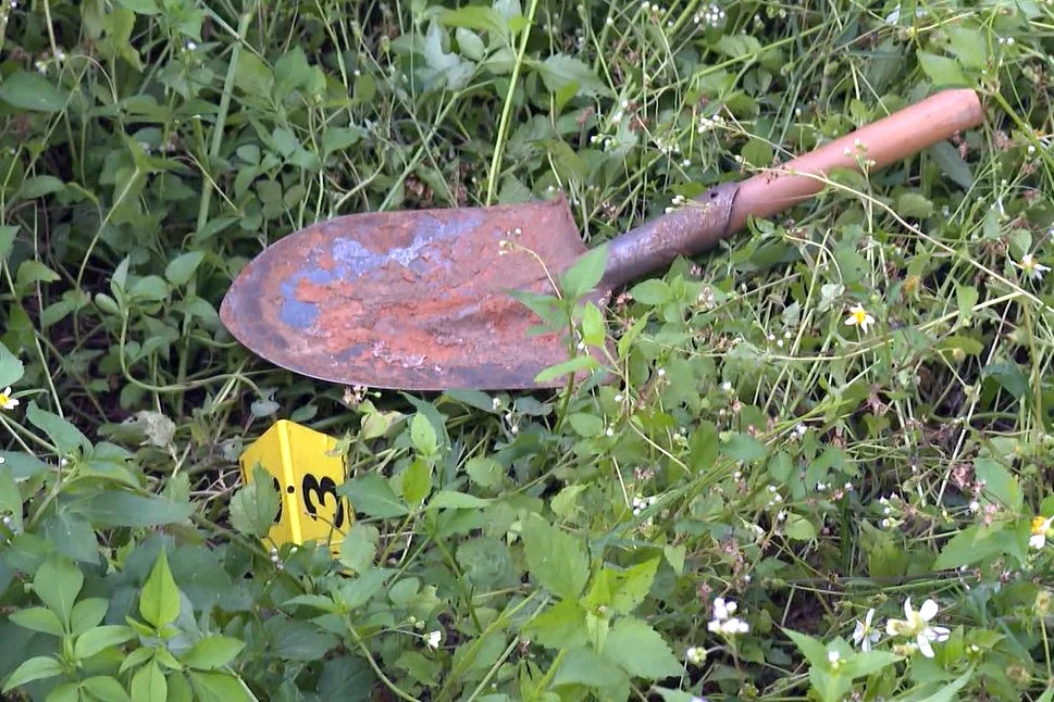 Dựng hiện trường vụ hai người Trung Quốc xâm hại mộ Lê Túc Tông - 4.jpg