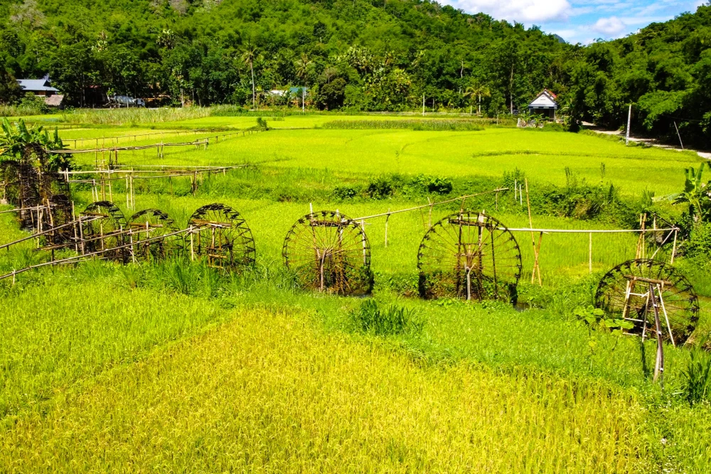 Độc đáo “bánh xe nước” ở miền Tây xứ Thanh -10.jpg