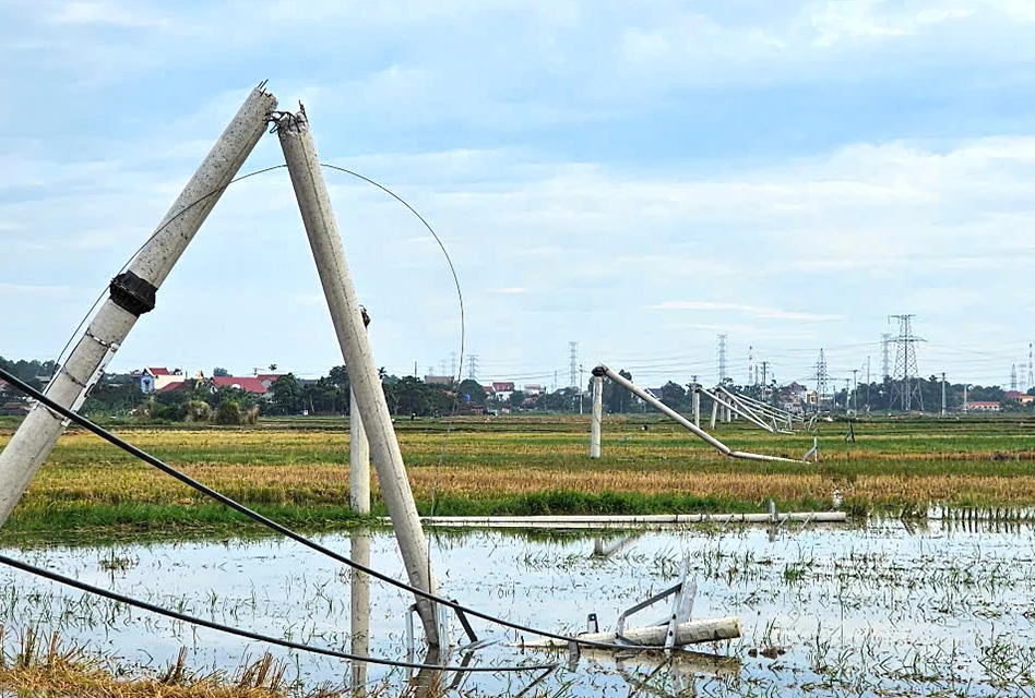 Hàng loạt cột điện gãy đổ la liệt sau mưa giông ở Thanh Hóa -2.jpg