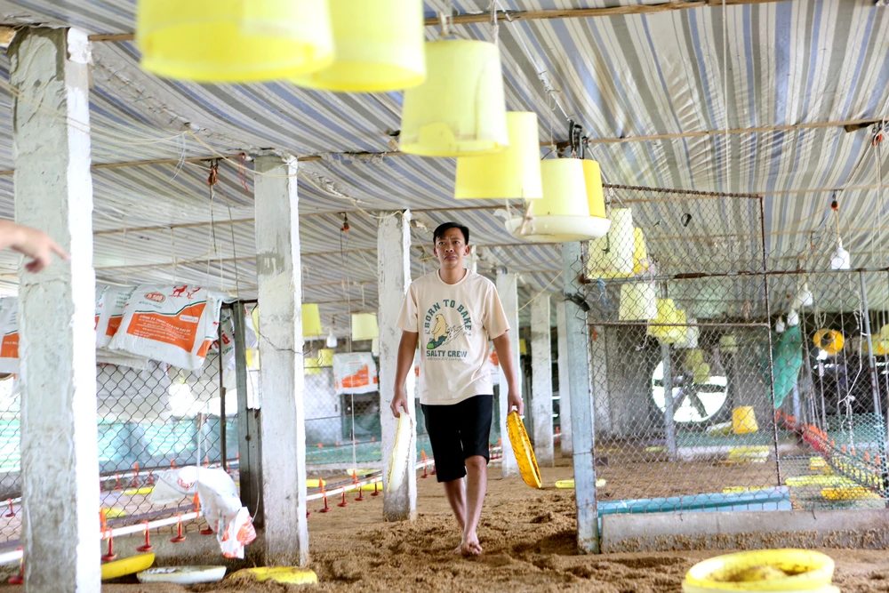 Hàng chục ngàn con gà bị dìm trong biển nước khi bão số 3 vào Thanh Hóa -3.JPG