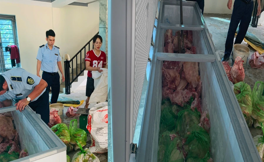 dịch tả lợn châu Phi.jpeg