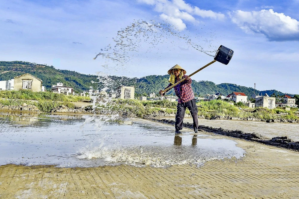 Vựa muối miền Trung - 1.jpeg