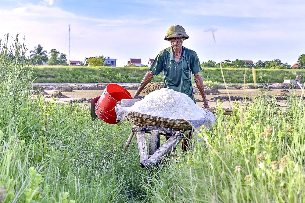 Vựa muối miền Trung - 14.jpeg