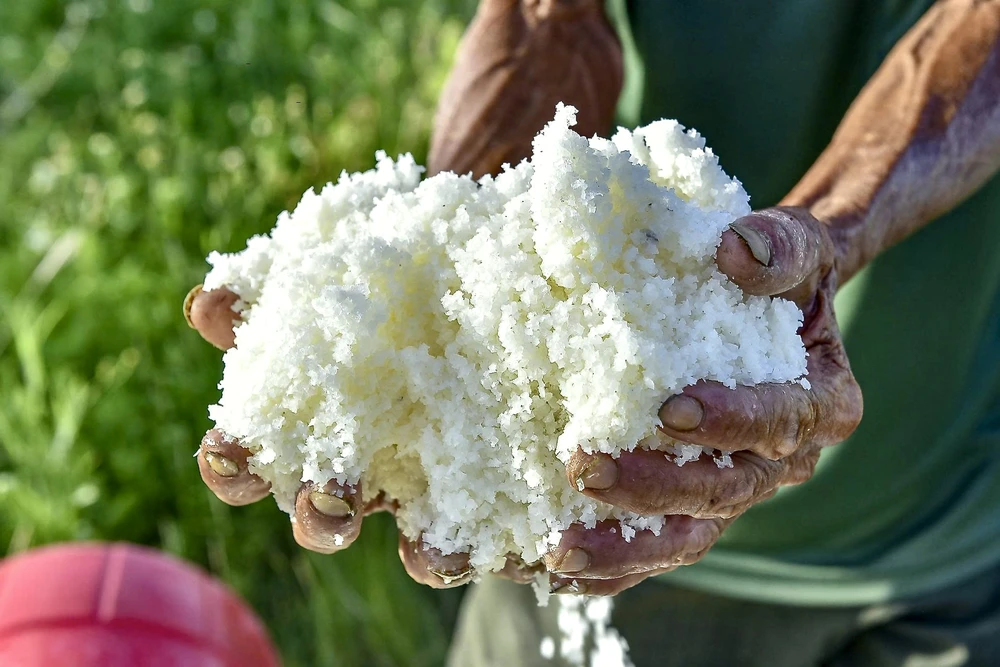 Vựa muối miền Trung - 3.jpeg