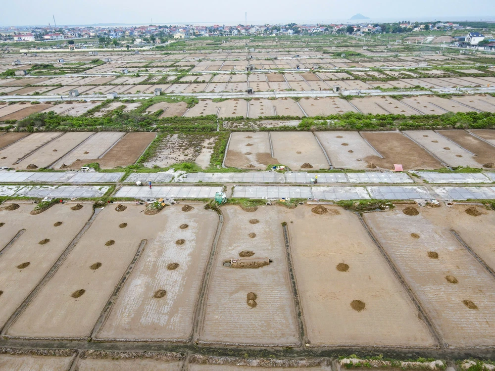 Vựa muối miền Trung - 5.jpeg