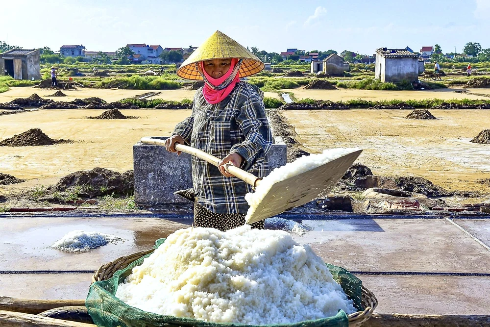 Vựa muối miền Trung - 54.jpeg