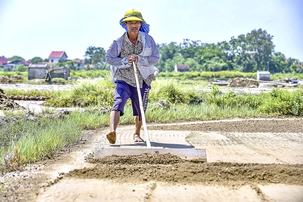 Vựa muối miền Trung - .jpeg