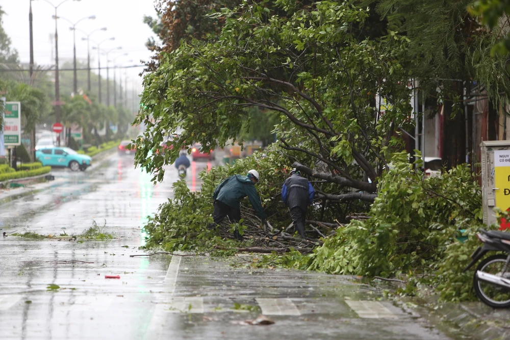 Hình ảnh nhiều tuyến phố ngập sâu, cây xanh đổ gãy do ảnh hưởng bão Bualoi -11.JPG