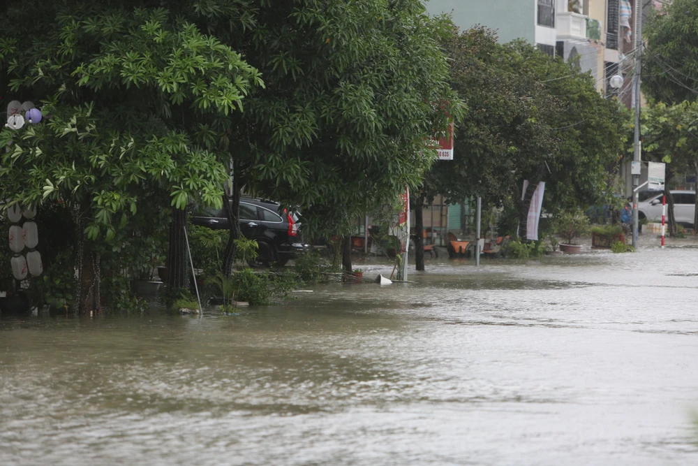 Hình ảnh nhiều tuyến phố ngập sâu, cây xanh đổ gãy do ảnh hưởng bão Bualoi -13.JPG