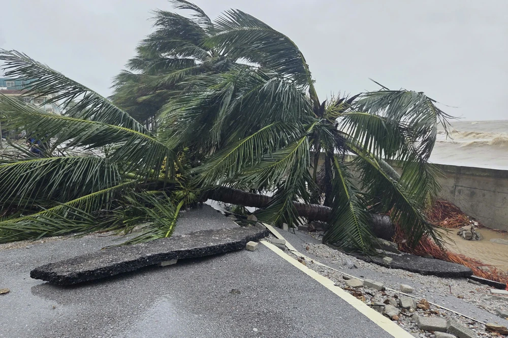 Xót xa bờ biển Hải Tiến tan hoang sau bão số 10 - 9.jpg