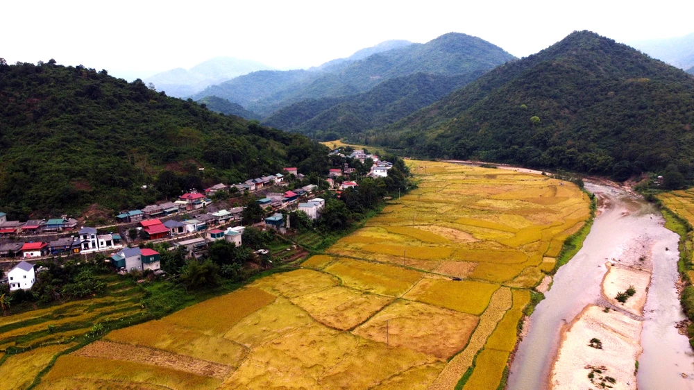 Ngắm cảnh đẹp mùa vàng đẹp như thiên đường ở vùng biên xứ Thanh -10.JPG