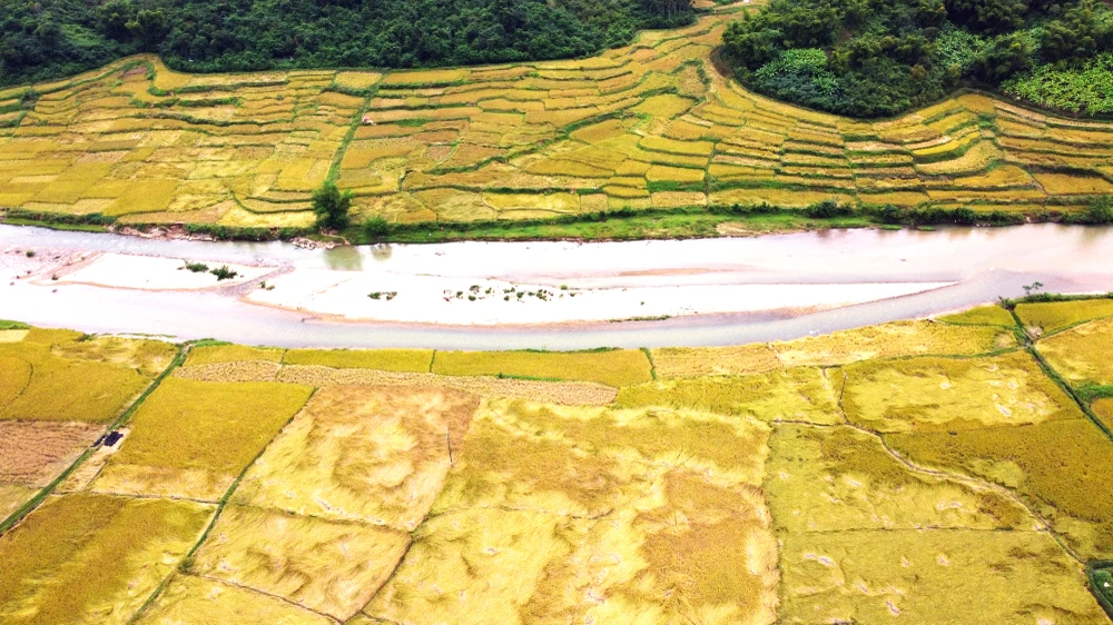 Ngắm cảnh đẹp mùa vàng đẹp như thiên đường ở vùng biên xứ Thanh -11.JPG