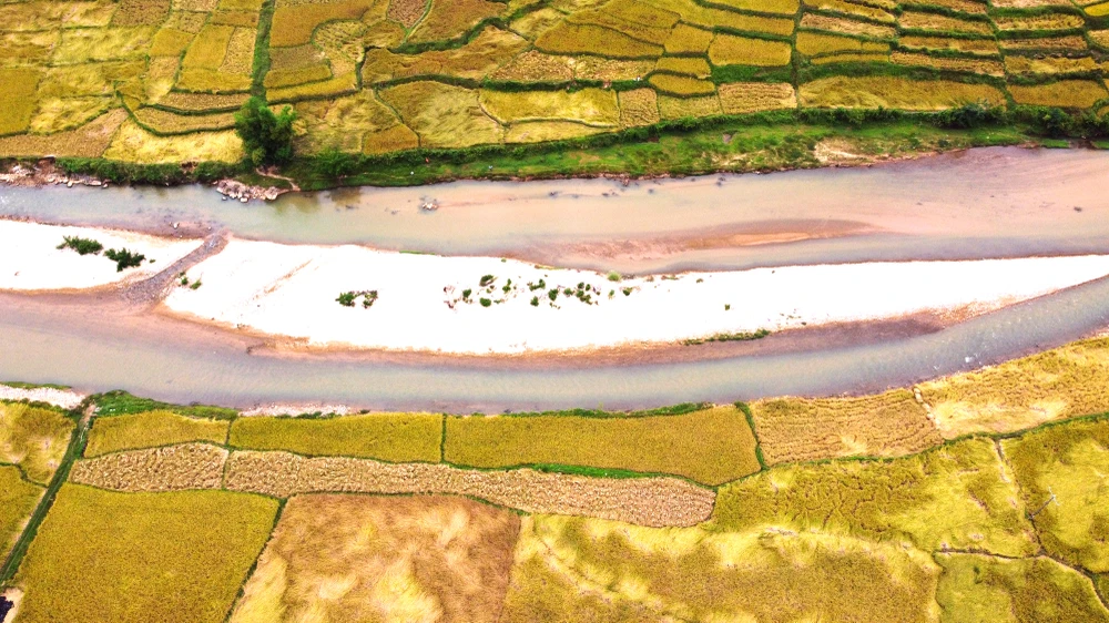 Ngắm cảnh đẹp mùa vàng đẹp như thiên đường ở vùng biên xứ Thanh -13.JPG