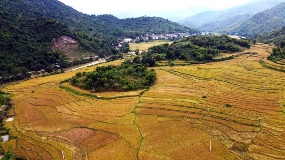 Ngắm cảnh đẹp mùa vàng đẹp như thiên đường ở vùng biên xứ Thanh -14.JPG