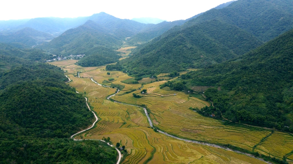 Ngắm cảnh đẹp mùa vàng đẹp như thiên đường ở vùng biên xứ Thanh -20.JPG