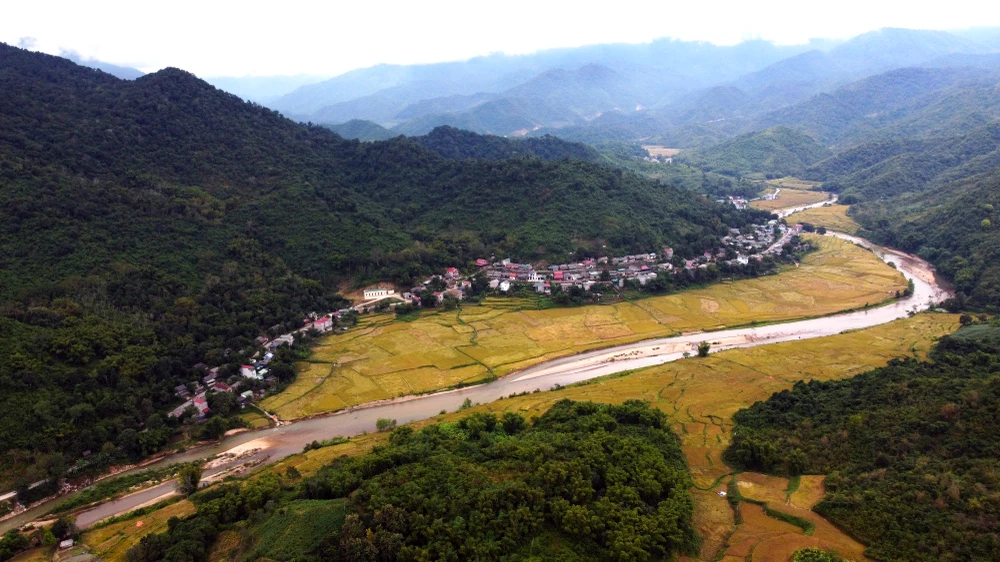 Ngắm cảnh đẹp mùa vàng đẹp như thiên đường ở vùng biên xứ Thanh -21.JPG