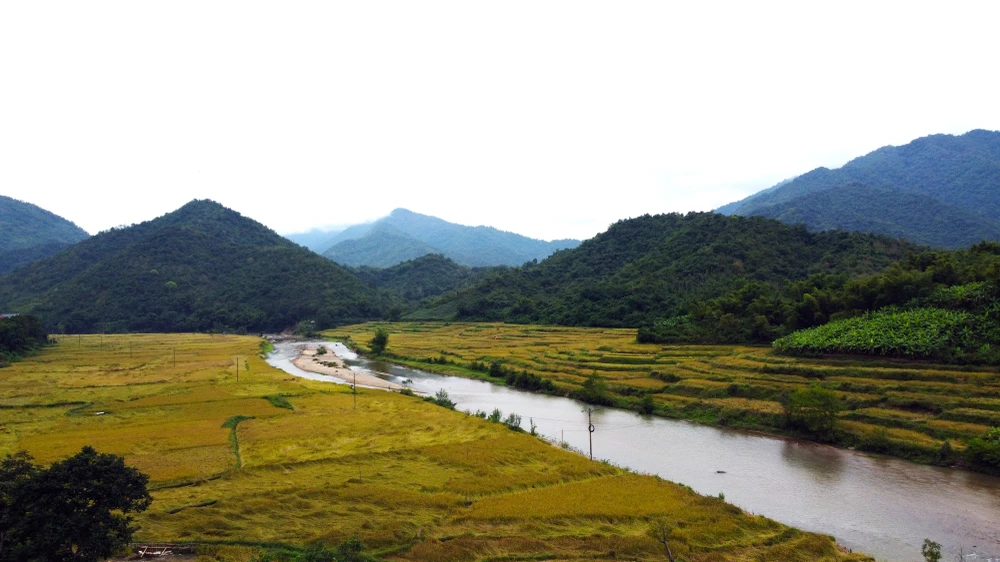 Ngắm cảnh đẹp mùa vàng đẹp như thiên đường ở vùng biên xứ Thanh -8.JPG