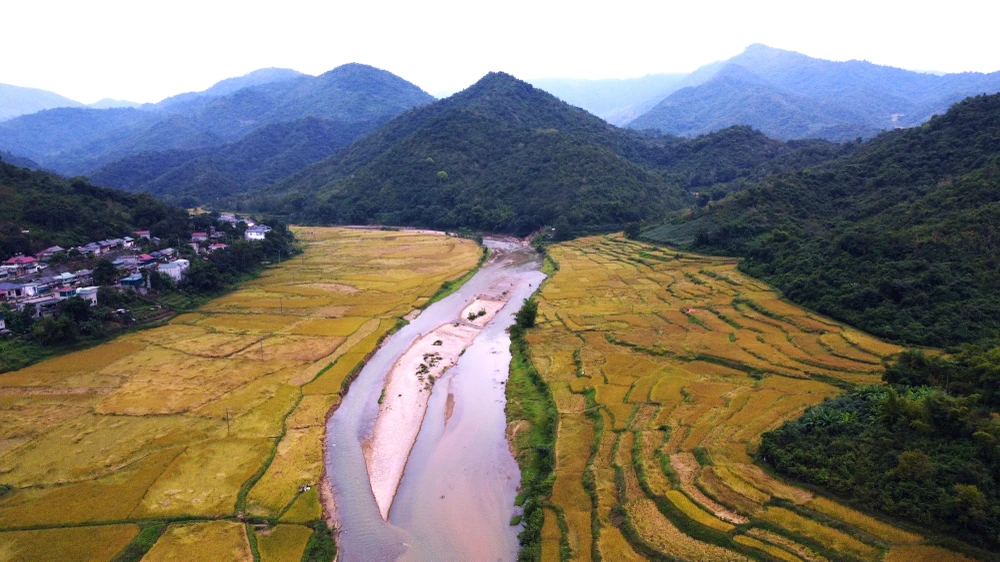 Ngắm cảnh đẹp mùa vàng đẹp như thiên đường ở vùng biên xứ Thanh -9.JPG