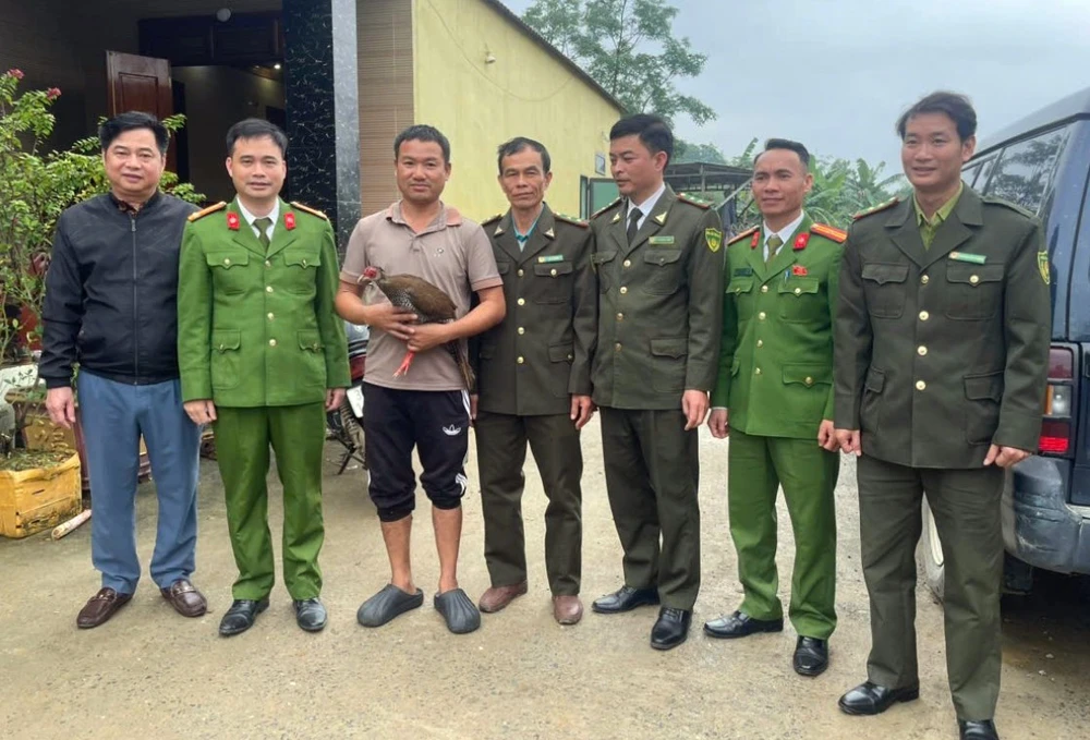 Vụ gà lôi trắng ở Thanh Hóa -.jpg