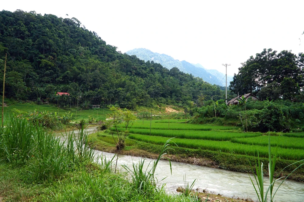 Cận cảnh nồi đồng không bán giá 400 triệu đồng ở Thanh Hóa-11.jpg