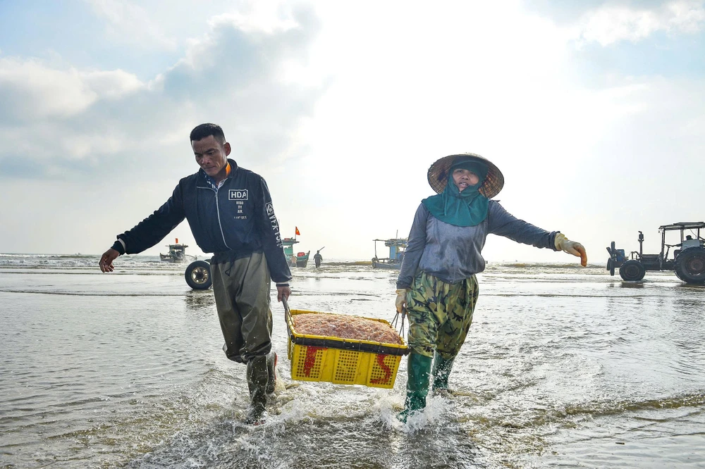 Ngư dân Thanh Hóa trúng đậm “lộc biển” những ngày đầu năm -10.jpg