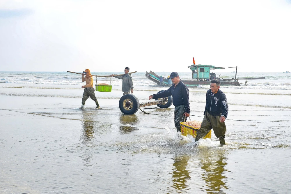 Ngư dân Thanh Hóa trúng đậm “lộc biển” những ngày đầu năm -12.jpg
