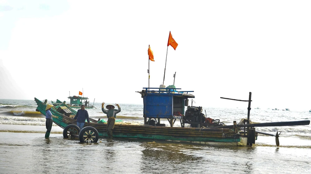 Ngư dân Thanh Hóa trúng đậm “lộc biển” những ngày đầu năm -.jpg