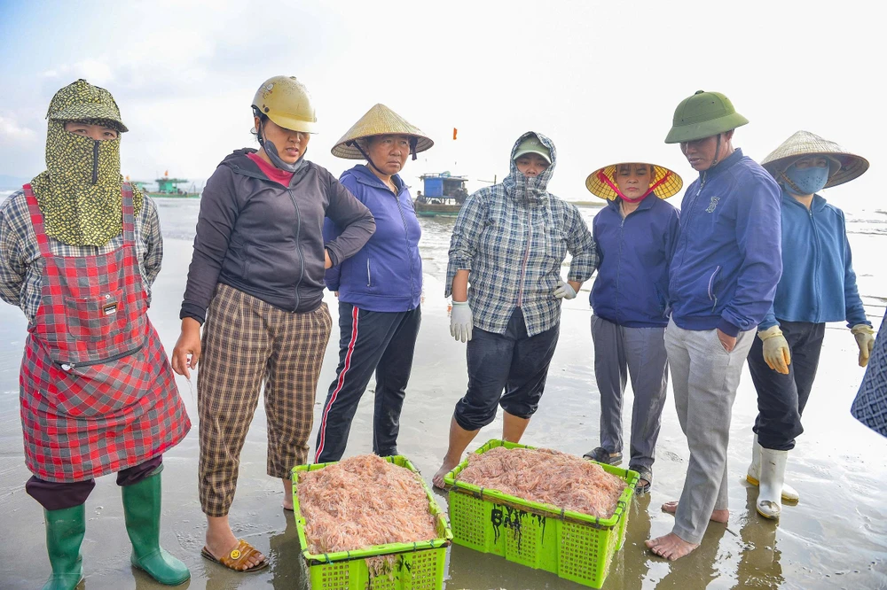 Ngư dân Thanh Hóa trúng đậm “lộc biển” những ngày đầu năm -3.jpg