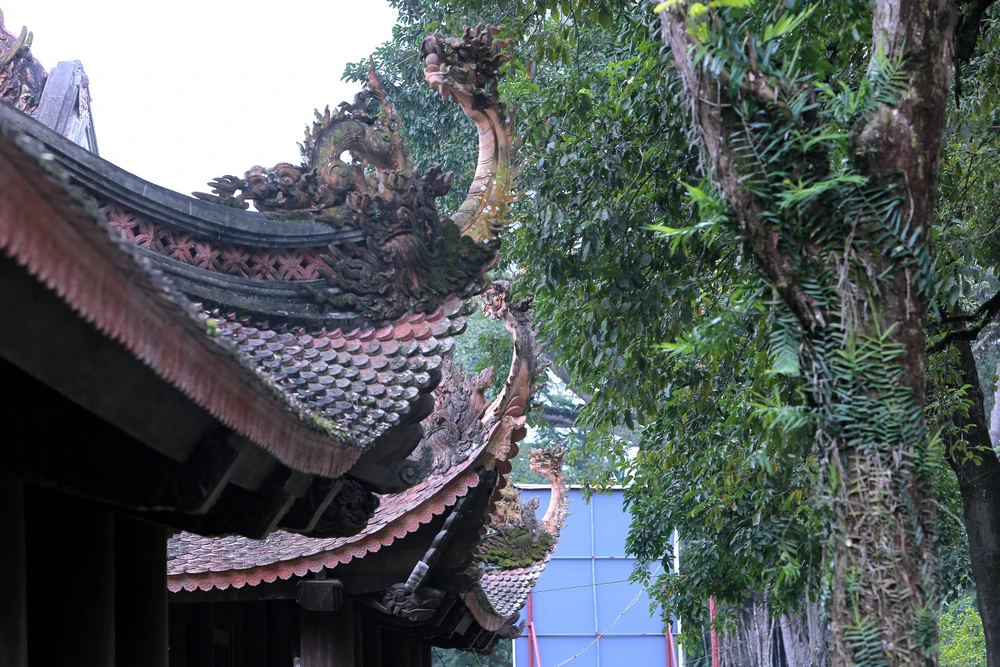 Lam Kinh – dấu ấn Tây Kinh giữa đại ngàn xứ Thanh-25.JPG