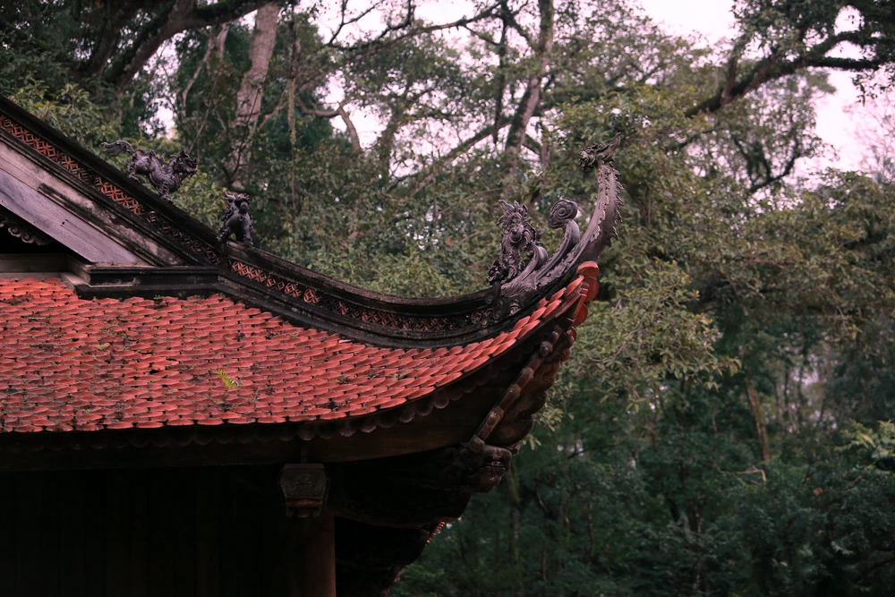 Lam Kinh – dấu ấn Tây Kinh giữa đại ngàn xứ Thanh-4.JPG