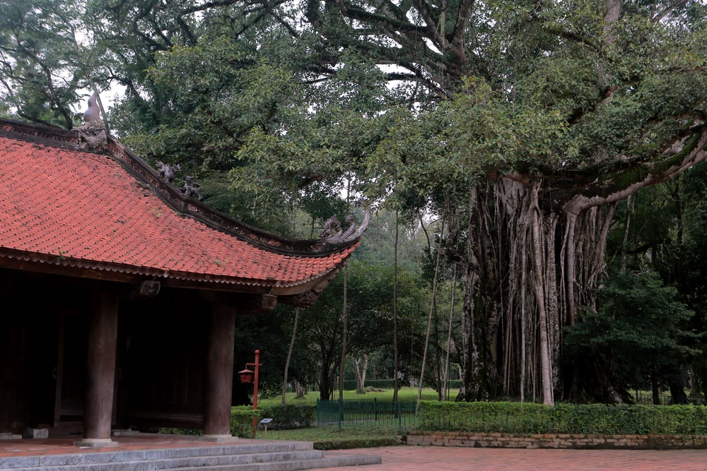 Lam Kinh – dấu ấn Tây Kinh giữa đại ngàn xứ Thanh-7.JPG