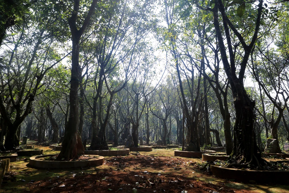 Toàn cảnh di tích quốc gia huyệt đạo Am Tiên - Đền Nưa trước khi chỉnh trang -3.JPG