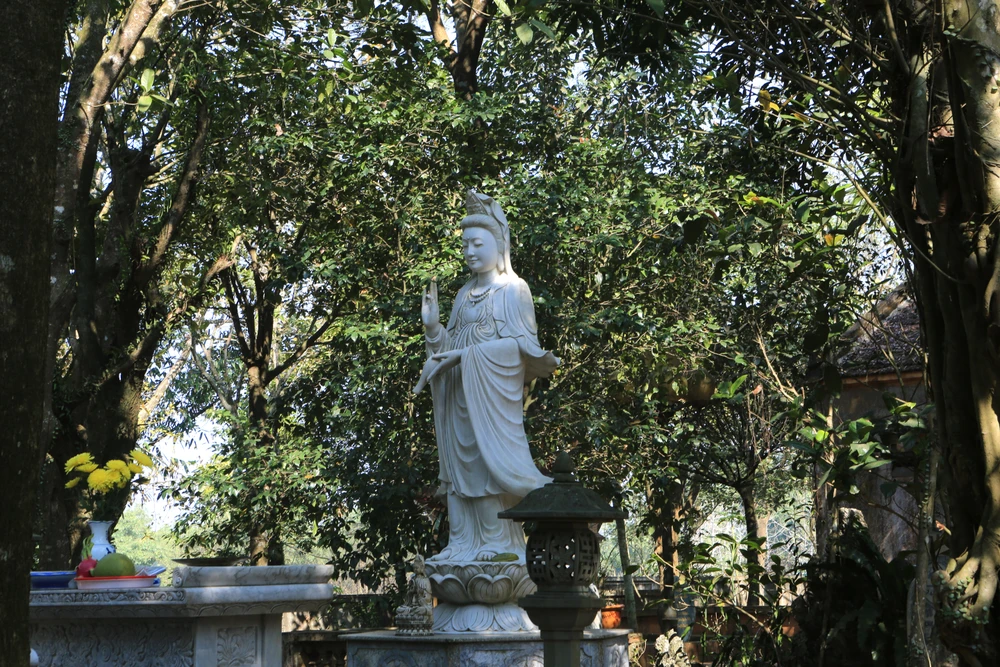 Toàn cảnh di tích quốc gia huyệt đạo Am Tiên - Đền Nưa trước khi chỉnh trang -4.JPG