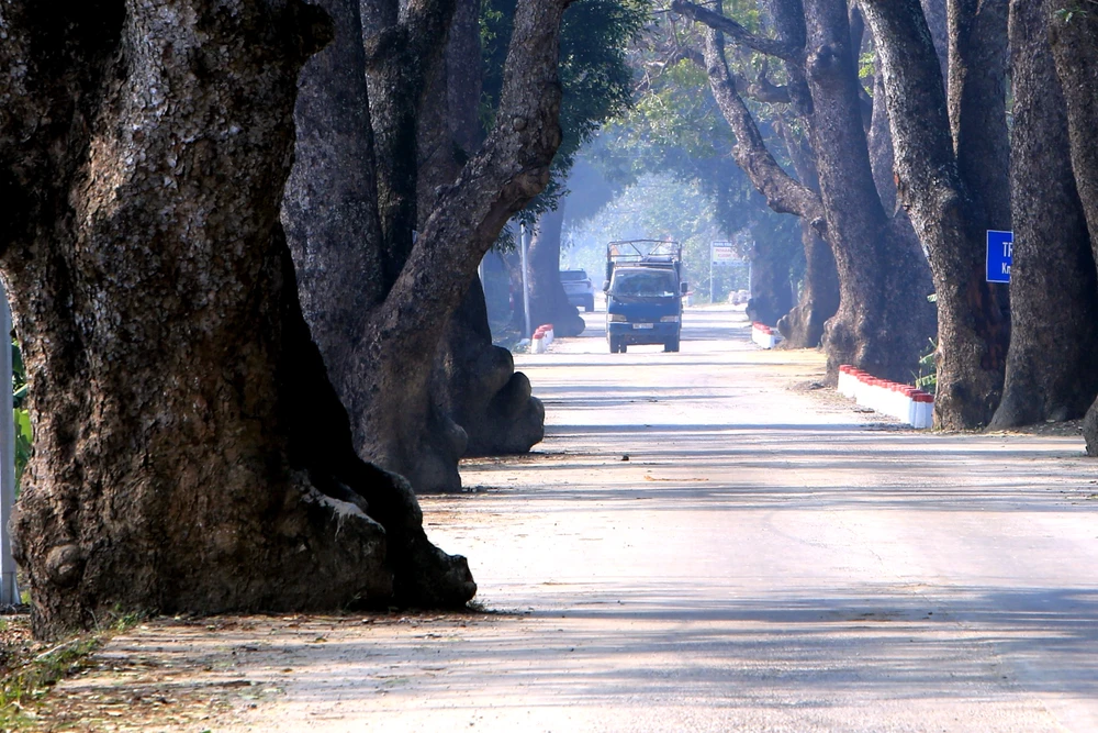 Ngắm hàng di sản trăm năm hiếm có ở làng quê xứ Thanh -56.JPG