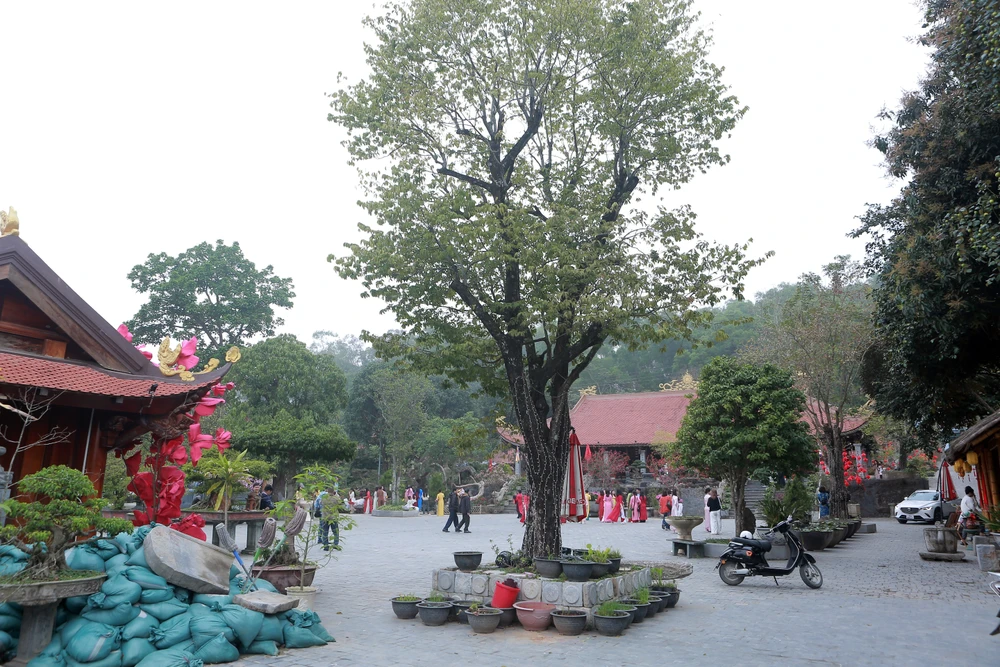 Giới trẻ rộn ràng chụp ảnh check – in ở ngôi chùa cổ ở Thanh Hóa-1.JPG