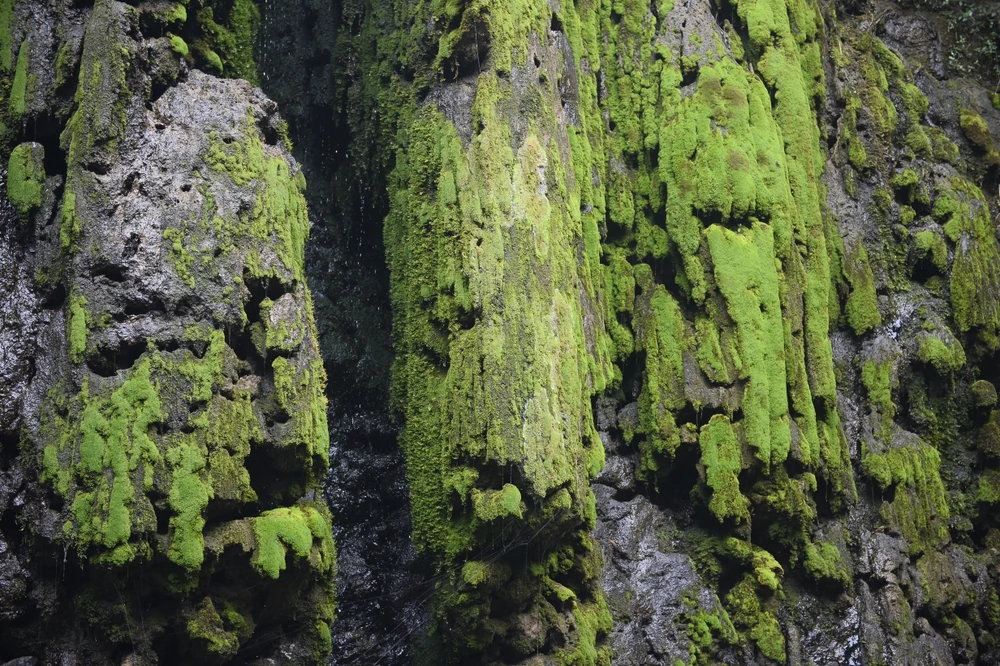 Hàng vạn du khách về Phủ Na xin nước thánh ở con suối dưới đỉnh ngàn Nưa -3.JPG