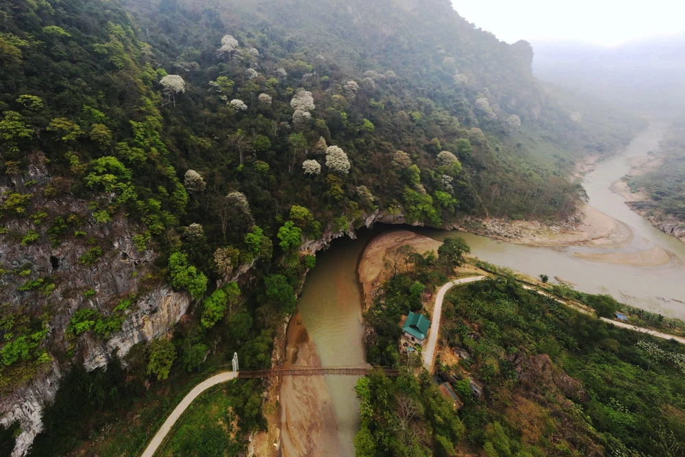 Hoa thàn mát nở trắng tinh khôi giữa núi rừng miền Tây xứ Thanh-12.jpg