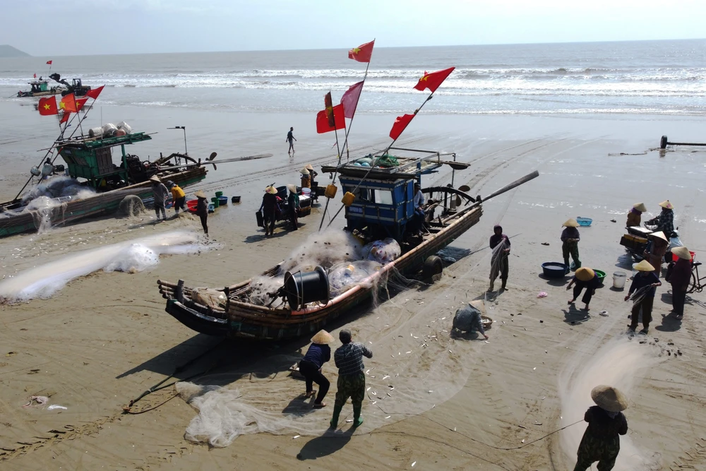 Giá xăng dầu tăng, ngư dân Thanh Hóa bám biển mưu sinh mùa cá trích-13.JPG