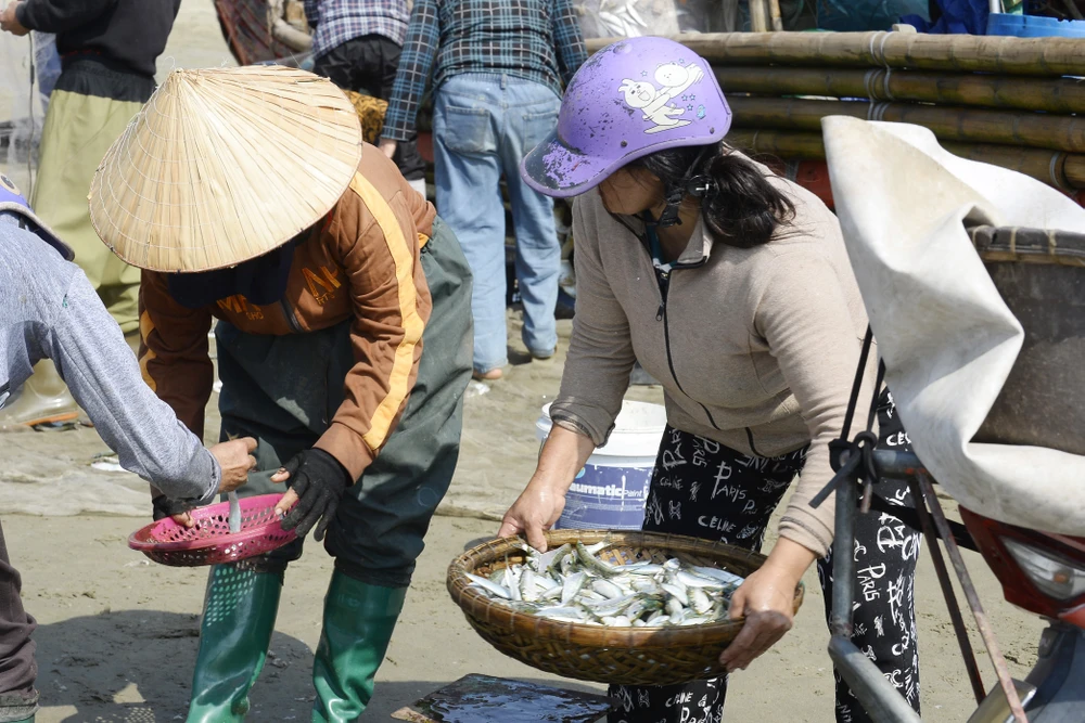 Giá xăng dầu tăng, ngư dân Thanh Hóa bám biển mưu sinh mùa cá trích-5.JPG