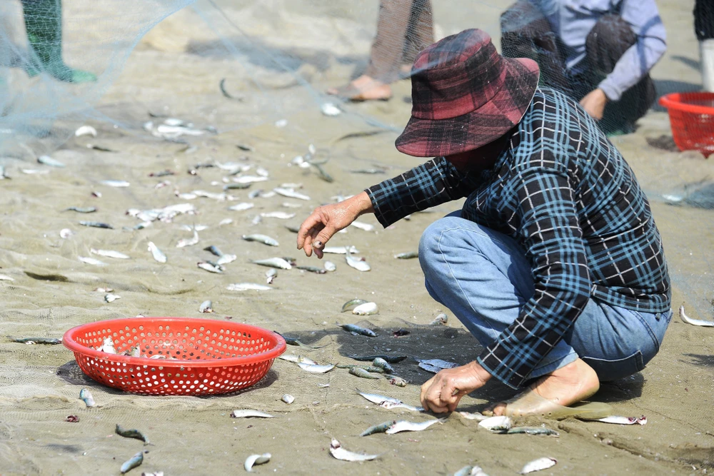Giá xăng dầu tăng, ngư dân Thanh Hóa bám biển mưu sinh mùa cá trích-7.JPG