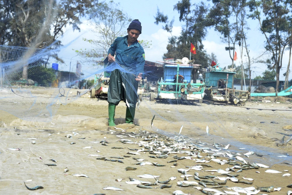 Giá xăng dầu tăng, ngư dân Thanh Hóa bám biển mưu sinh mùa cá trích-9.JPG