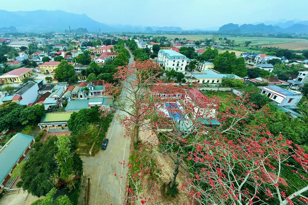 Chiêm ngưỡng hoa gạo đỏ rực bên sông Mã ở Thanh Hóa-13.jpeg