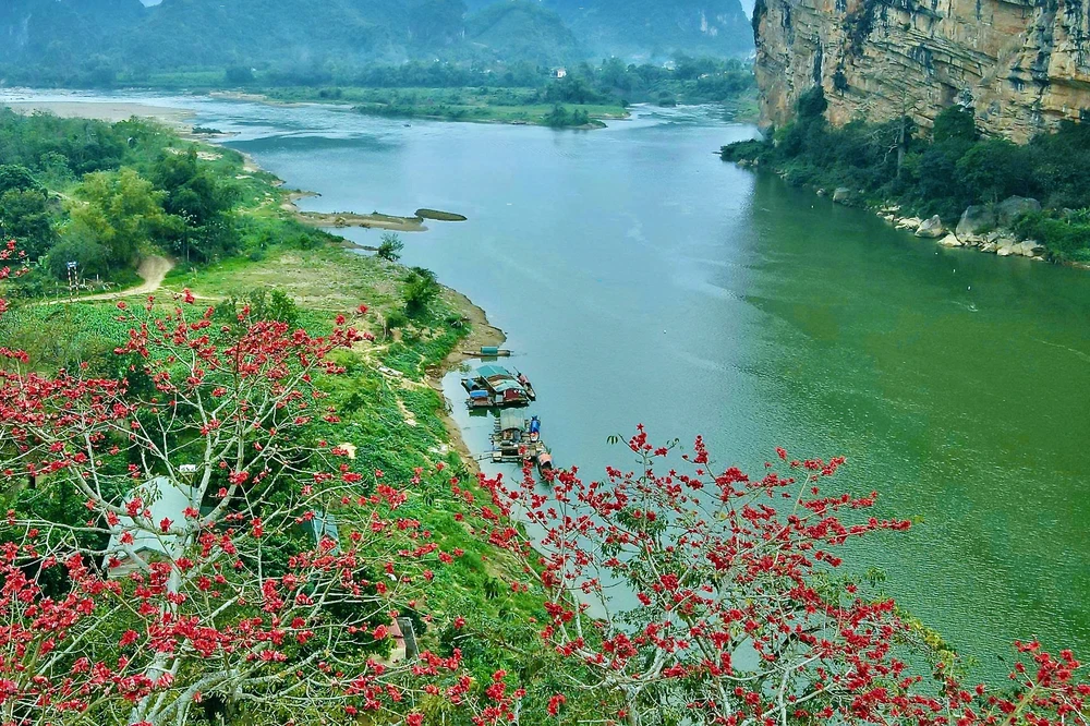 Chiêm ngưỡng hoa gạo đỏ rực bên sông Mã ở Thanh Hóa-4.jpeg