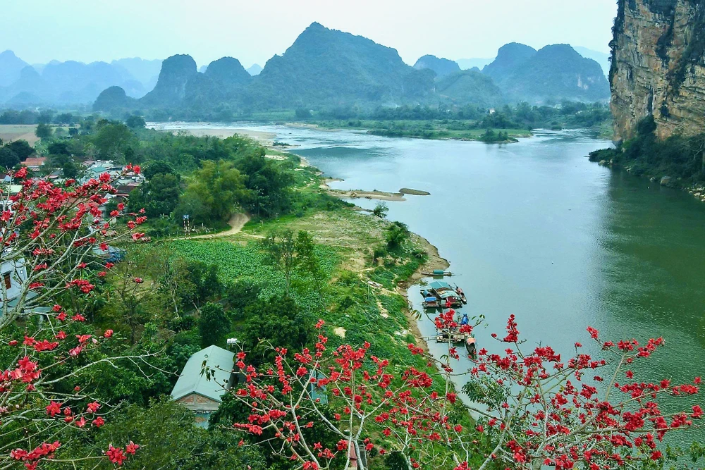 Chiêm ngưỡng hoa gạo đỏ rực bên sông Mã ở Thanh Hóa-6.jpeg