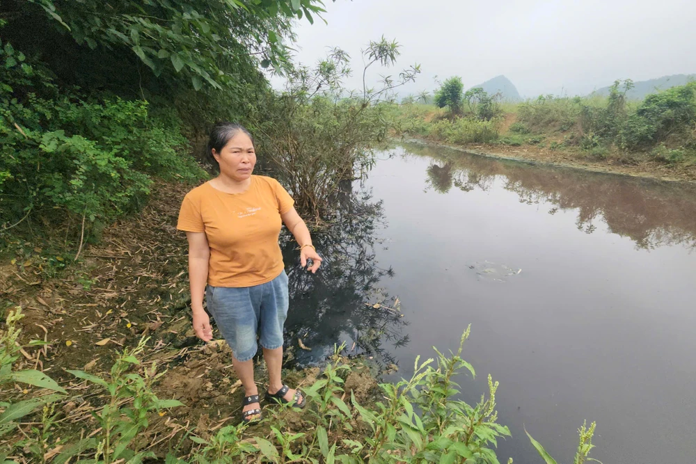 Nước đổi màu tím, bốc mùi hôi, nhiều hộ dân ở Thanh Hóa -2.jpg