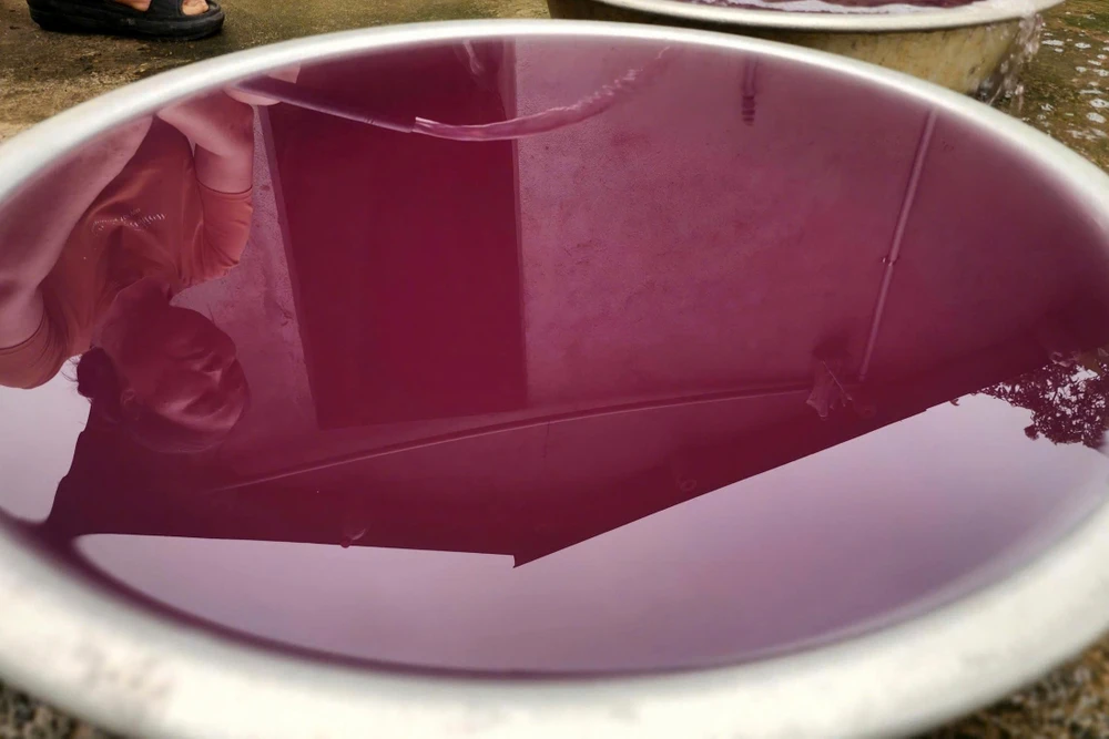 Nước đổi màu tím, bốc mùi hôi, nhiều hộ dân ở Thanh Hóa -5.jpg