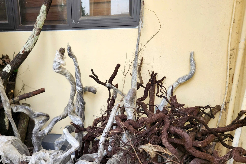 Muội Hồng Thanh Hóa -2.jpg